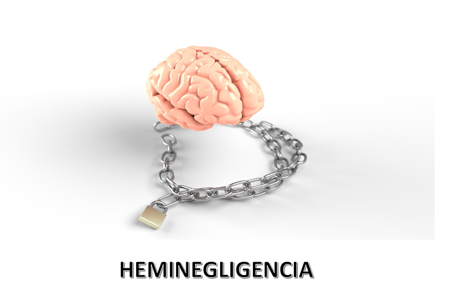 heminegligencia
